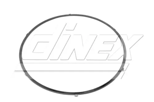Exhaust Gasket for Iveco